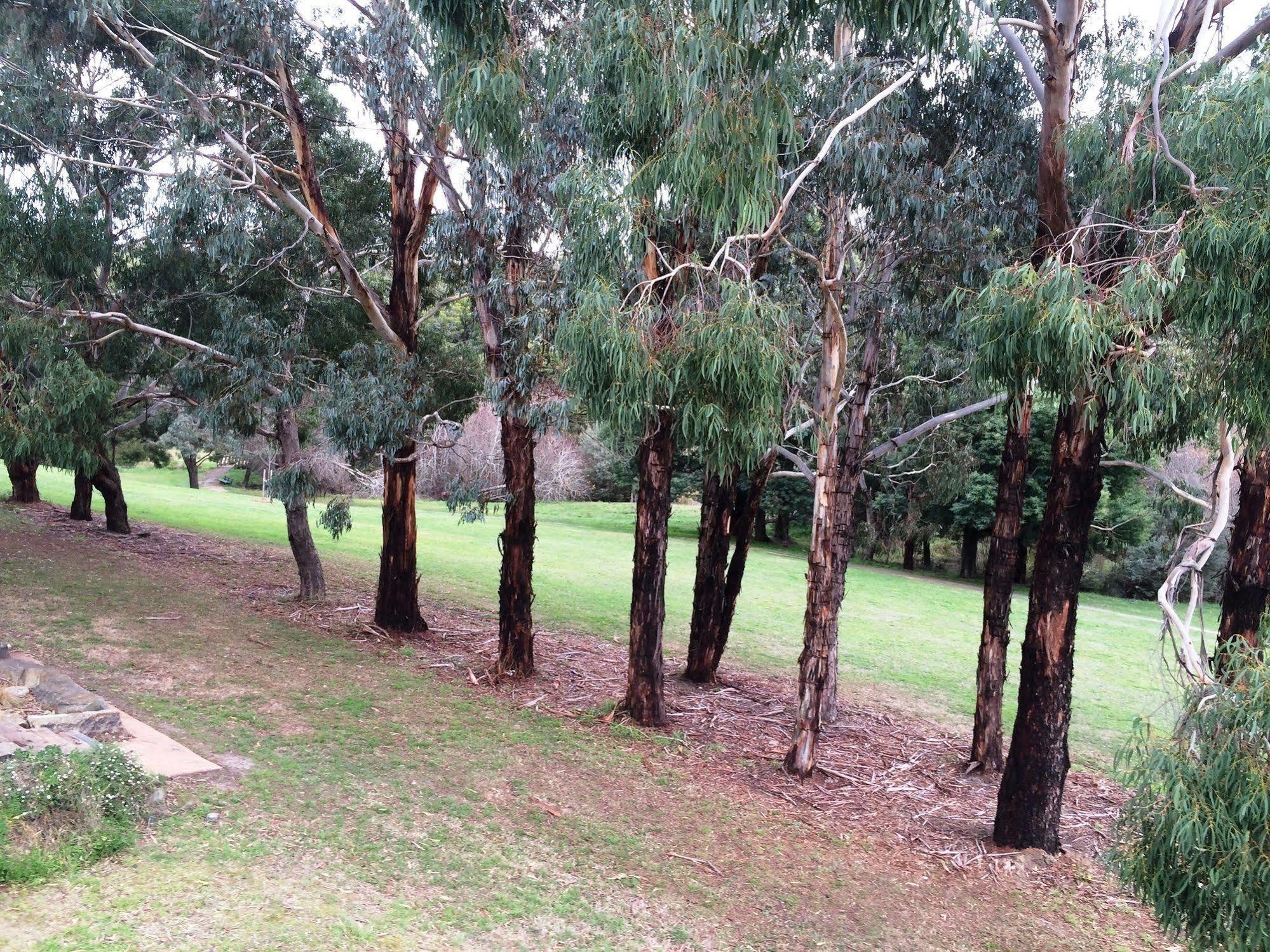 Hotel Daylesford By The Lake Cute&Cosy Studio Extérieur photo